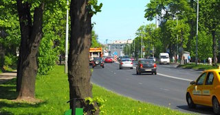 Посадка деревьев и кустарников в Ишимбае — стоимость от 1217 руб.